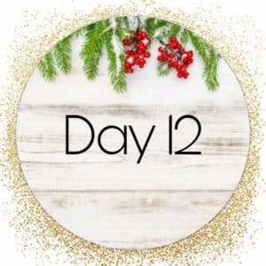 day 12