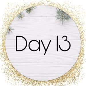 day 13