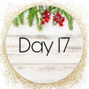 day 17
