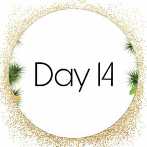 day 14