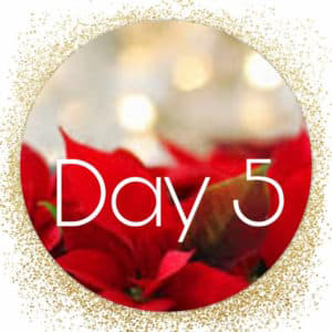 day 5