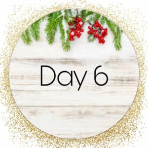 day 6