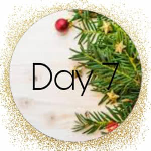 day 7