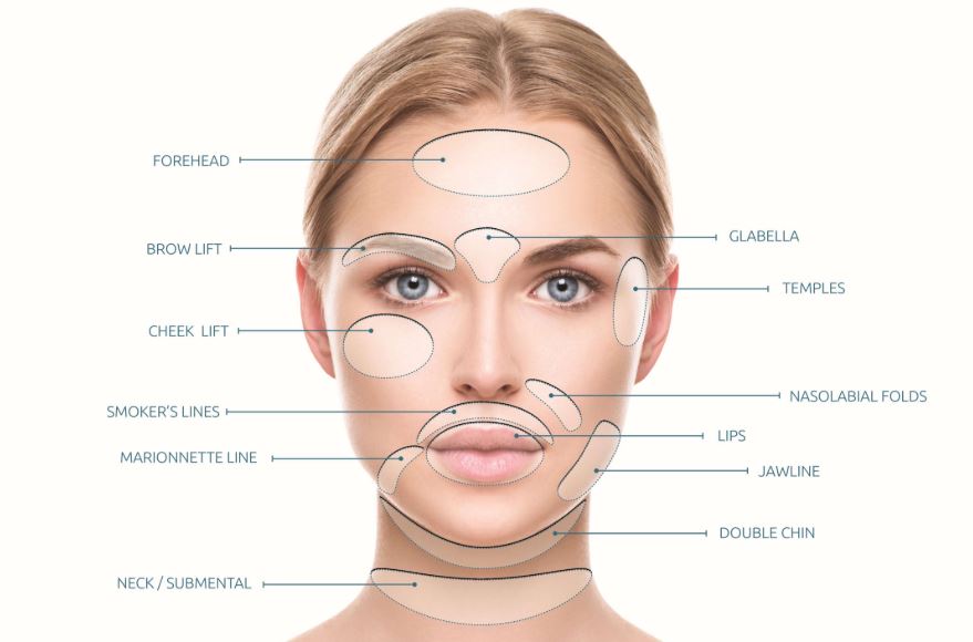 novathreads diagram face novathreads diagram face