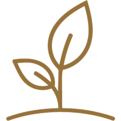 natural leaves icon
