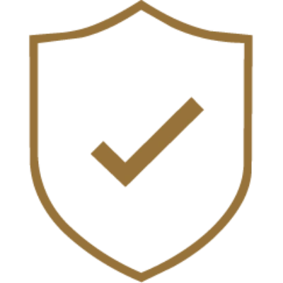 shield icon