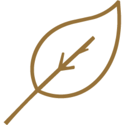 leaf icon