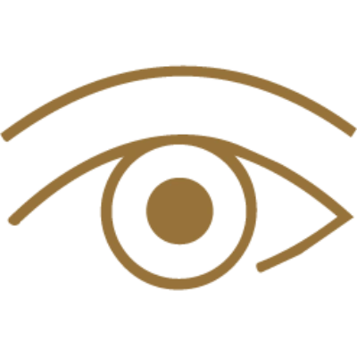 eye icon