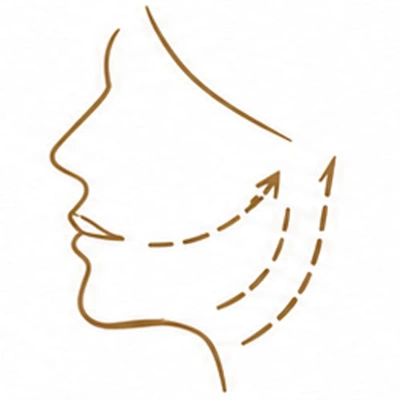 Facial Cosmetic Procedures 9 side profile face with arrows icon
