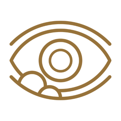stye icon